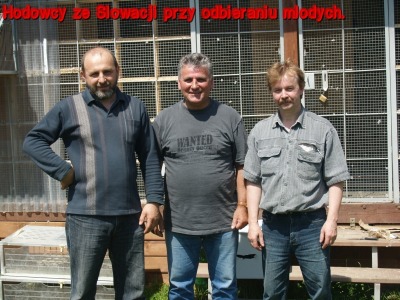 polsko.JPG